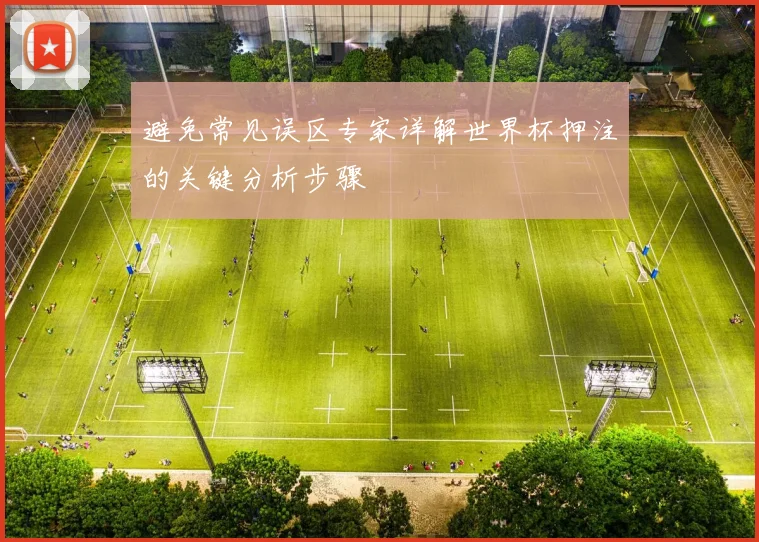 避免常见误区专家详解世界杯押注的关键分析步骤