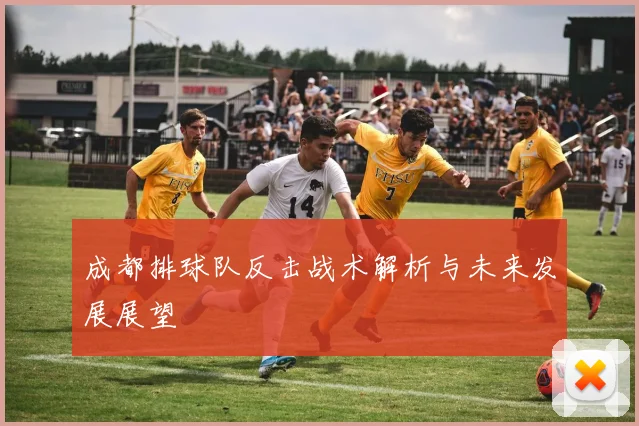 成都排球队反击战术解析与未来发展展望
