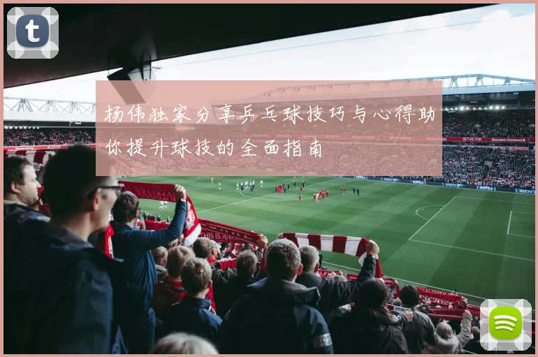 杨伟独家分享乒乓球技巧与心得助你提升球技的全面指南